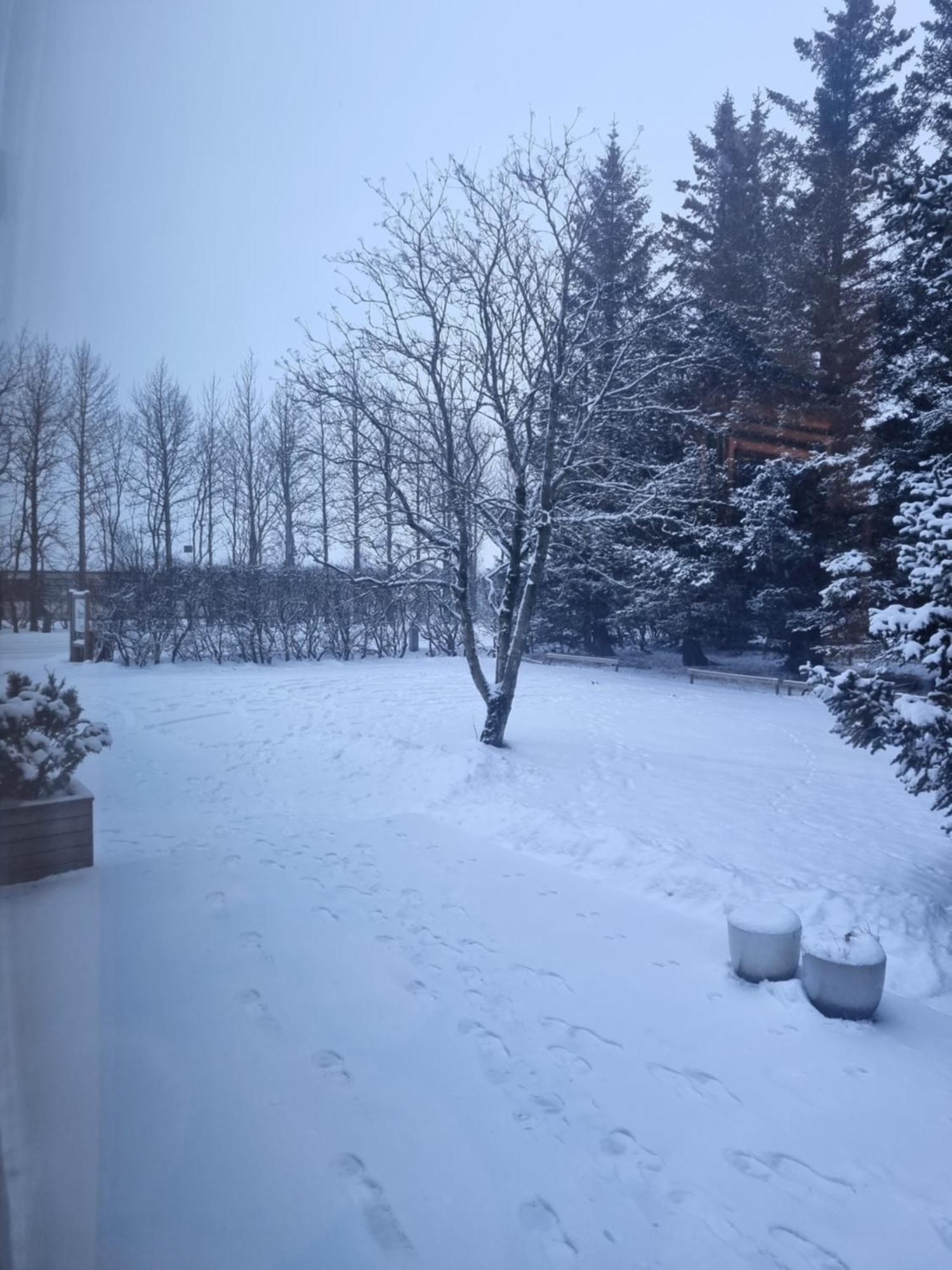 Spoi Guesthouse Hvolsvöllur Esterno foto